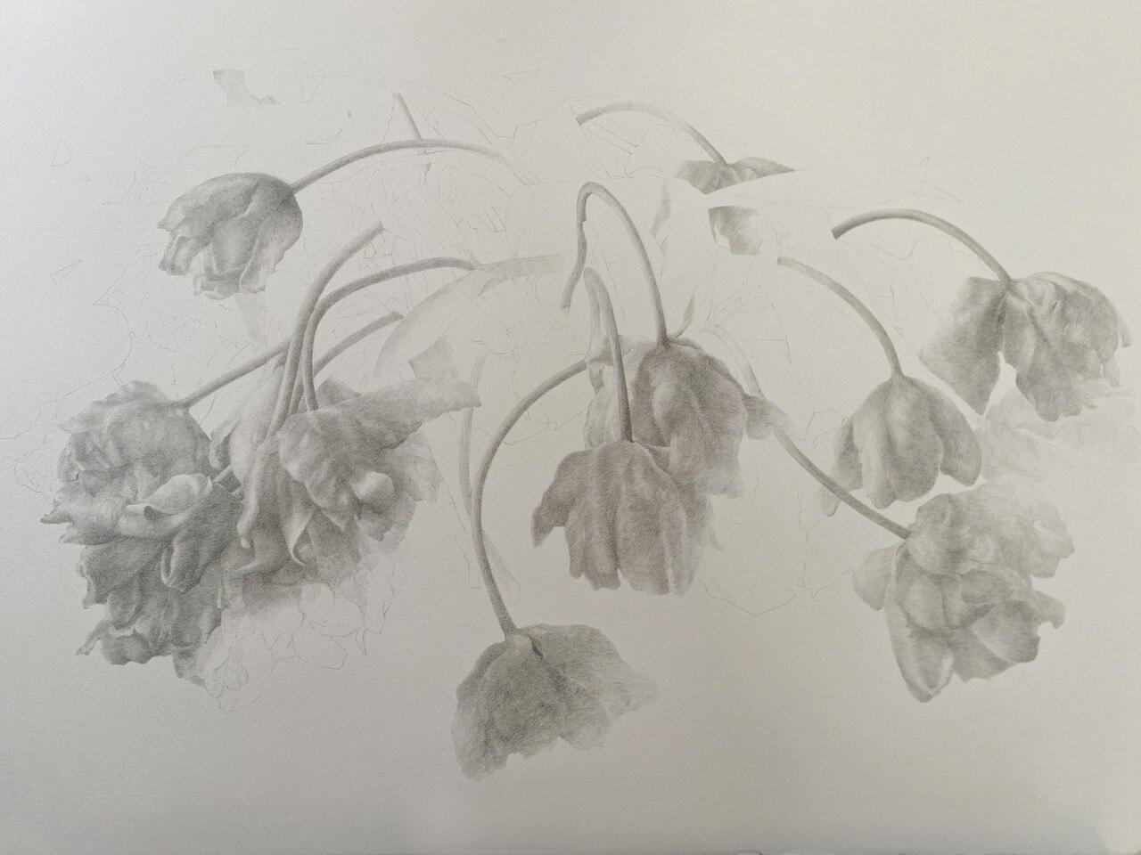 The Flowers — Drawing on paper, 76 × 56 cm, 2023
