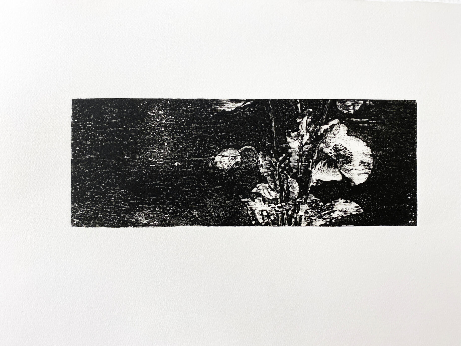 The Flowers — Gravure print, 8.5 × 24 cm, 2022
