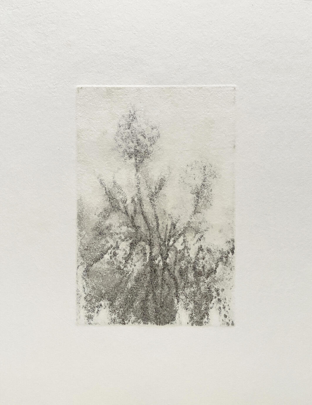 The Flowers — Gravure print, 10 × 15 cm, 2023