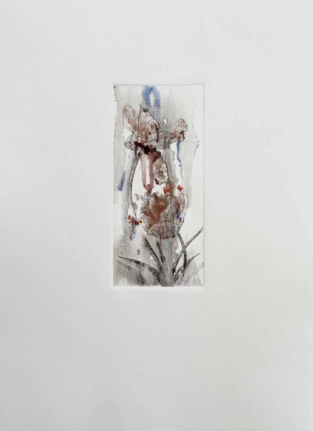 The Flowers — Gravure print, 8.5 × 24 cm, 2023