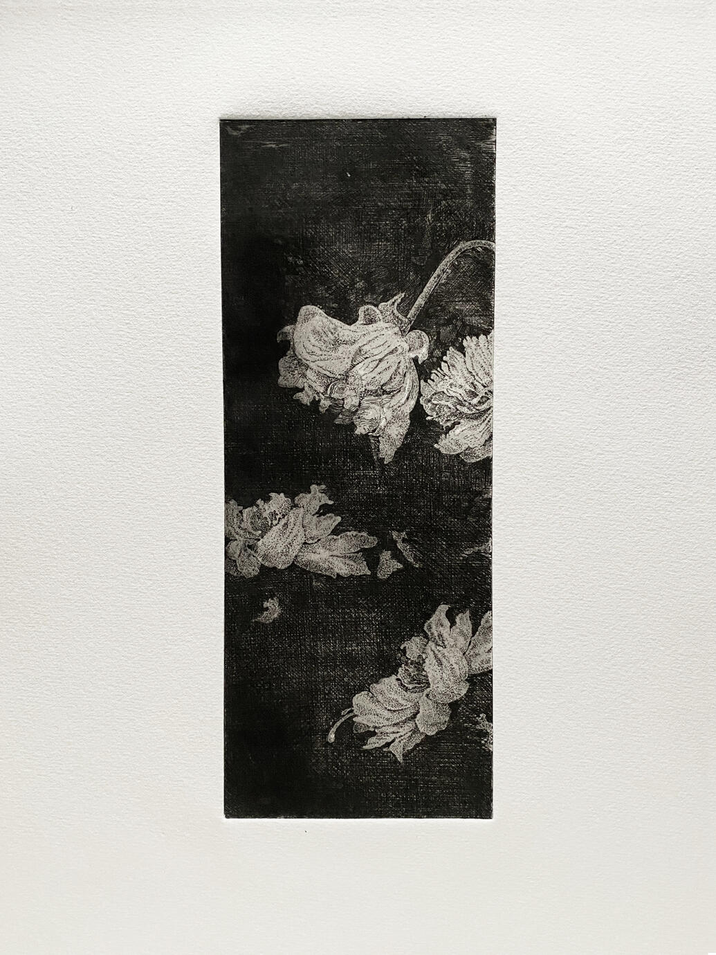 The Flowers — Gravure print, 8.5 × 24 cm, 2023